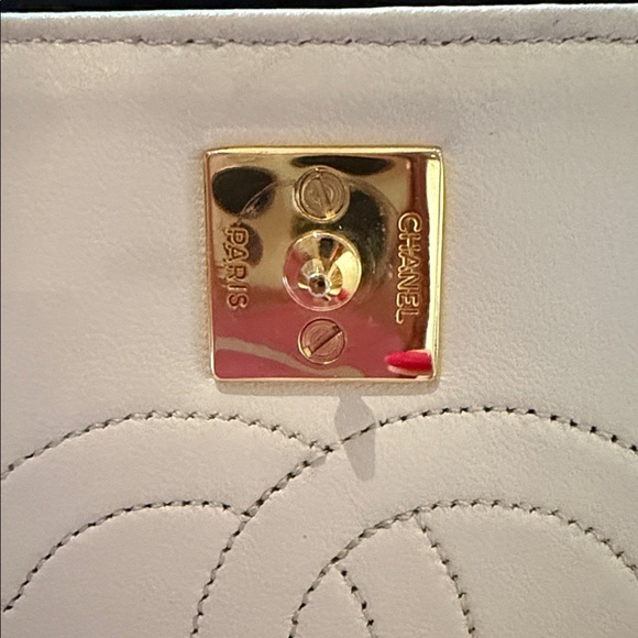 Chanel 1986 WOC Classic Flap and Clutch Khaki Faux Lizard Skin Bag - Picture 14 of 17